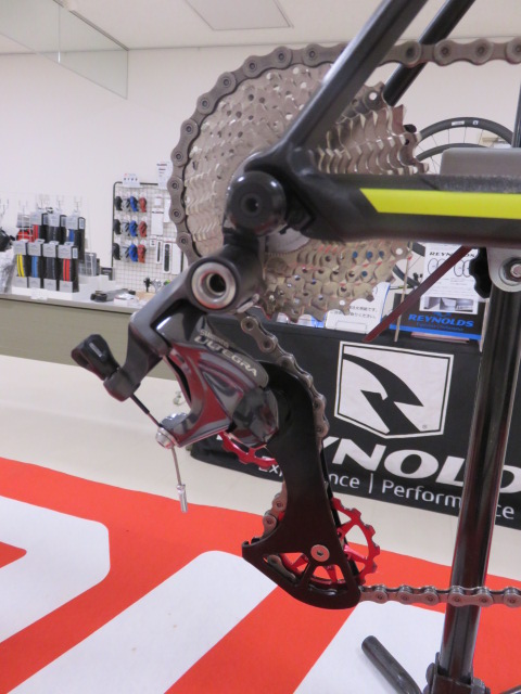 big pully cage sample